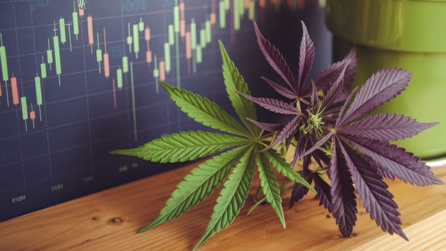 CRON Stock Rises 17% in Three Months: Time to Buy the Dip or Cash Out?