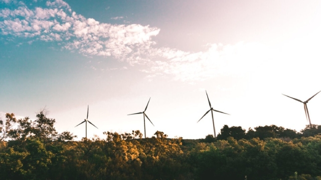 Korea Electric Power Stock Rises Friday: What's Going On?