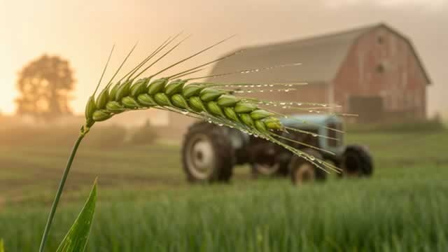 Nutrien's Shares Rise 26% in a Year: What's Behind the Upside?