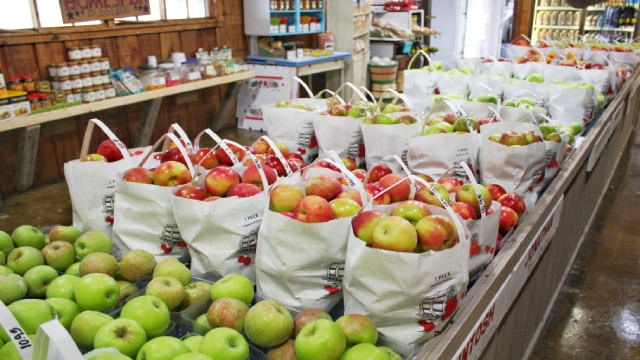 Wall Street's Insights Into Key Metrics Ahead of Albertsons Companies (ACI) Q2 Earnings